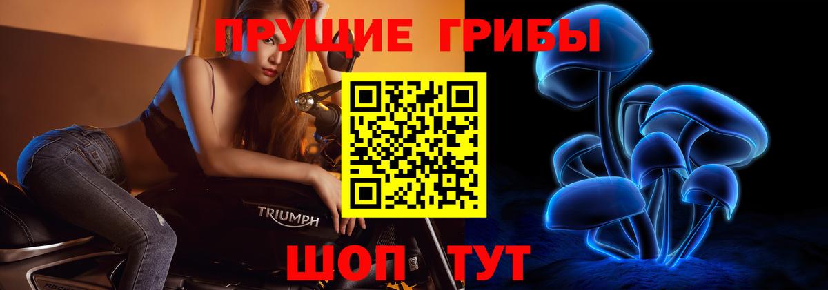 Карпинск  Псилоцибиновые грибы мухоморы  Вход с VPN 